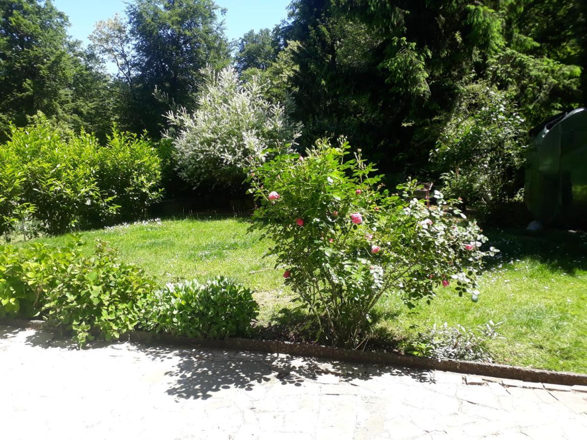 Appartement Fewo-eichenkopf